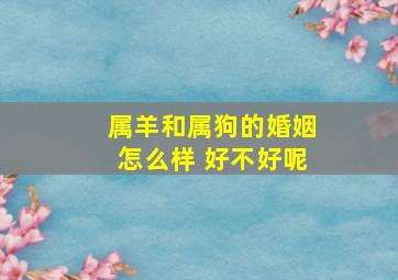 属羊和属狗的婚姻怎么样 好不好呢